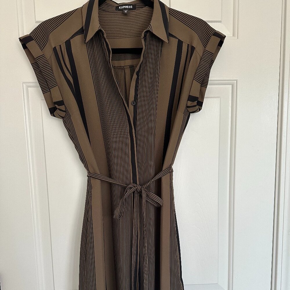 Express button down dress